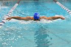 Swimming vs Bentley  Wheaton College Swimming vs Bentley. - Photo By: KEITH NORDSTROM : Wheaton, Swimming, Bentley